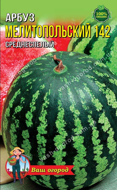 Насіння Кавун Мелітопольський,2 г, ТМ Урожай