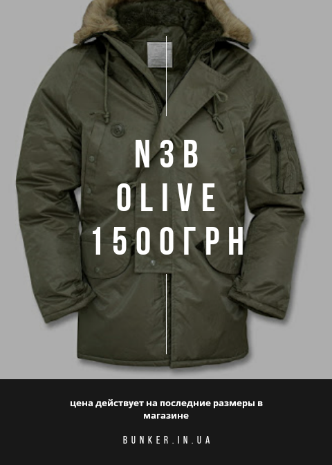 Подовжена аляска US N3B TEESAR olive by Miltec