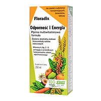 Floradix Immunity and Energy - для имунной системы, 250 мл