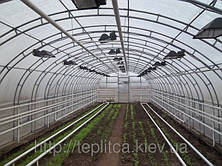 Створення клімат контролю для теплиці