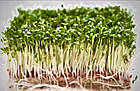Льняні килимки для вирощування мікрозелені мікрогрін, фото 2