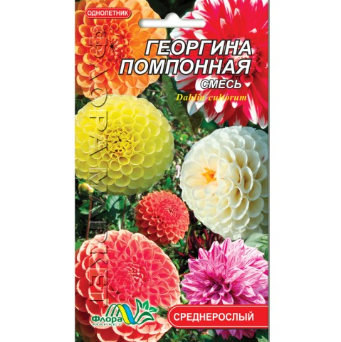 Насіння Жоржина Помпонна суміш різні кольори однорічник середньорослий 0.2 г