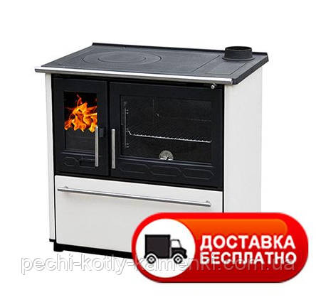 Опалювальна варильна піч на дровах Plamen 850 GLAS, фото 1
