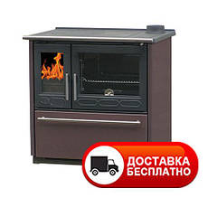 Опалювальна варильна піч на дровах Plamen Termo GLAS з водяним контуром