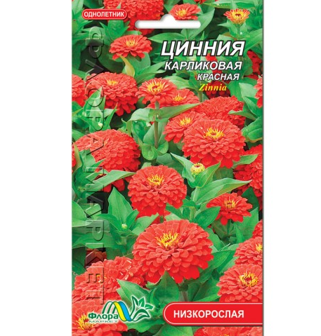 Насіння Цинія карликова червона однорічник низькорослий 0.2 г, фото 1