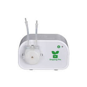 Дача, сад, город