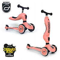 Scoot & Ride Highwaykick 2в1 Steel 96271