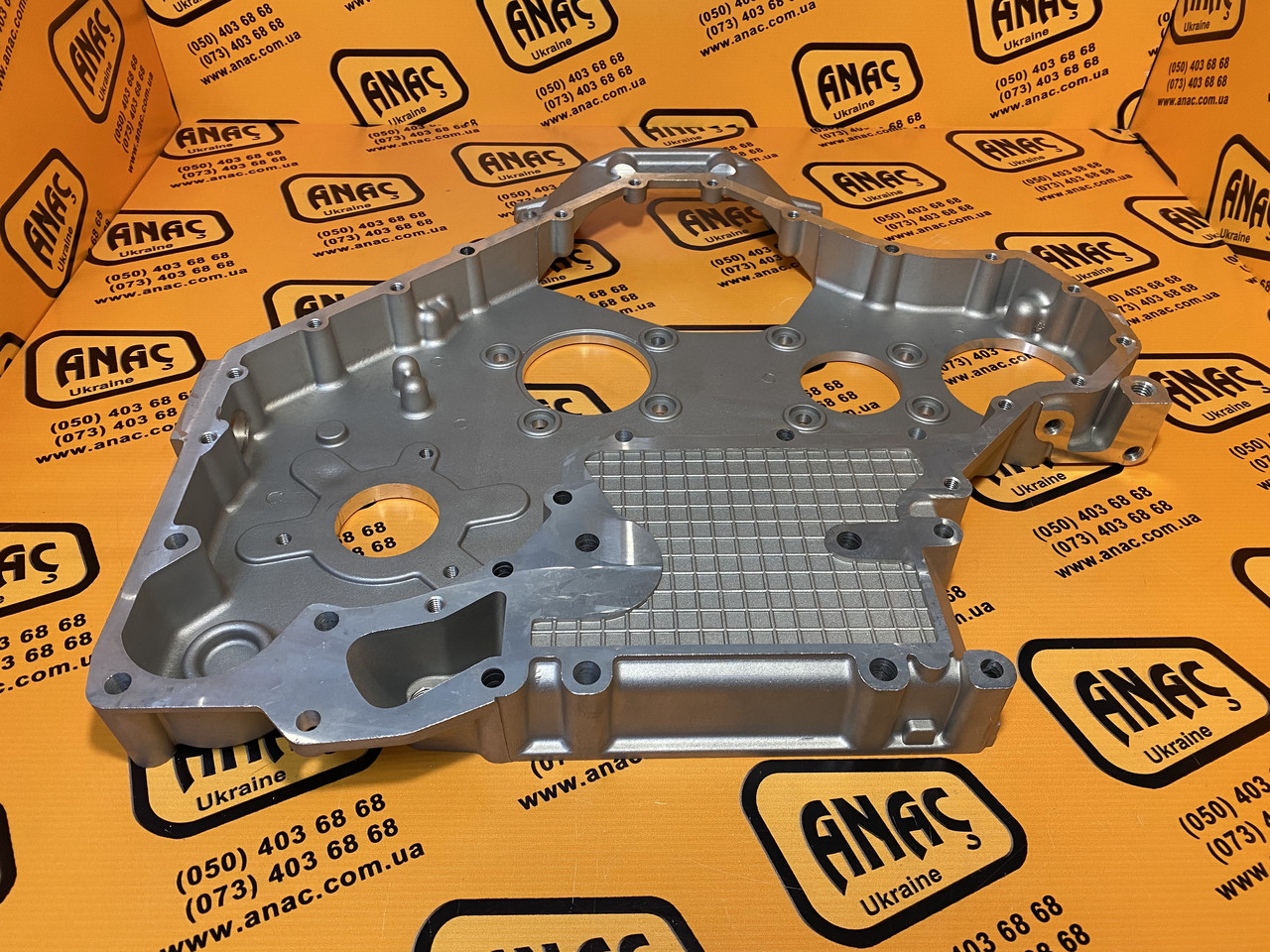 【Nyoqi 3-2】 P. Willinckii Spur(TC) 3348588750_w640_h640_02203237-