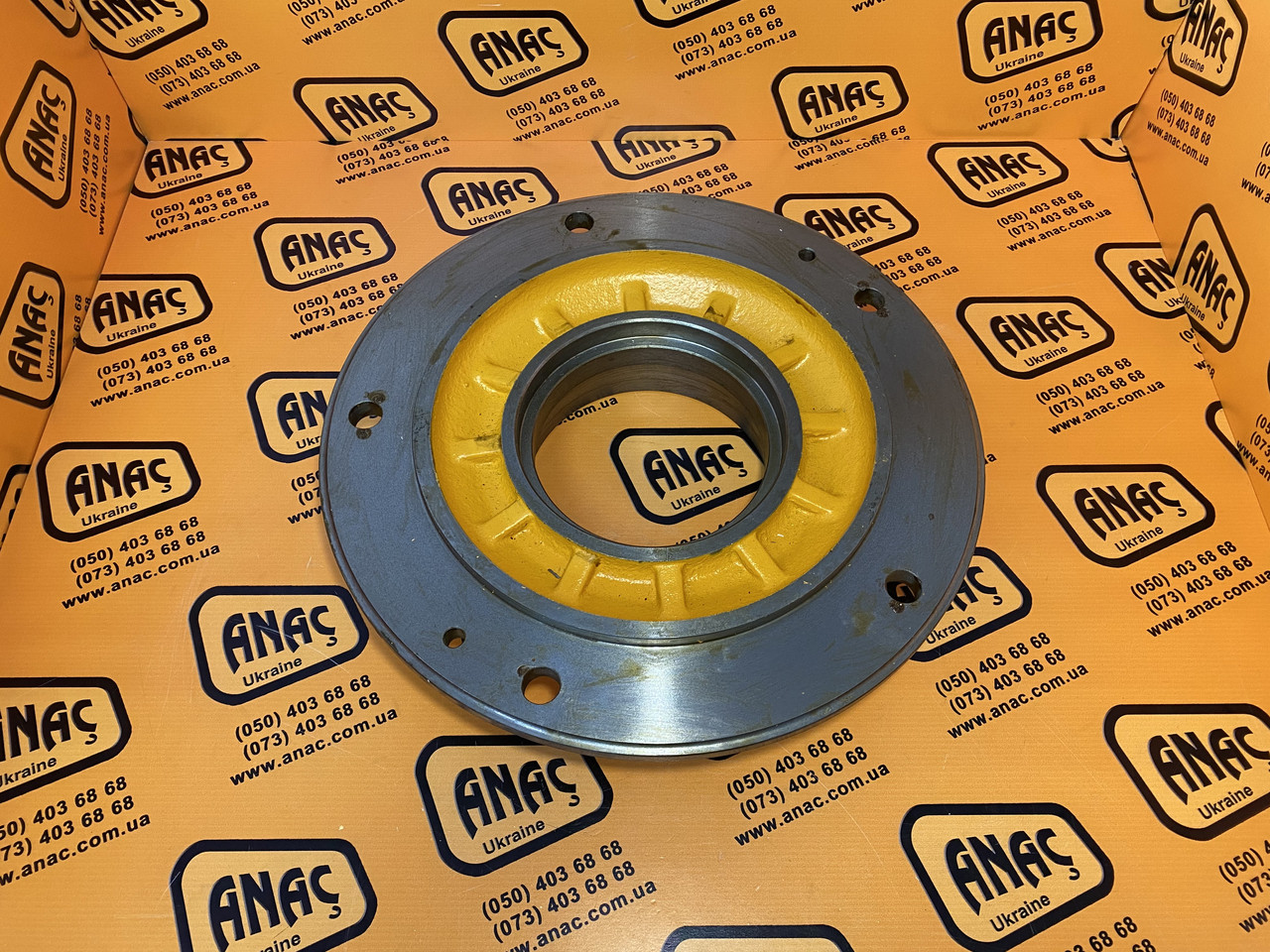 ぴぴ  ジャックバニー ロゴジャガードニットワンピース 263-2224848