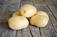 Высокоурожайный семенной картофель Коннект