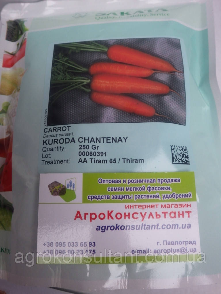 Насіння моркви Курода Шантане (United Genetics), 250 г — рання (85-90 днів), конічна, невибаглива