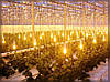 Фіто лампа Т8 G13 18Вт 1200мм для рослин (4 Червоних : 2 Синіх), фото 8