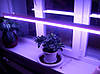 ФІТО світильник 900мм R:B=4:2 (4 червоних 2 синіх ФІТО світло) для росту рослин, фото 8