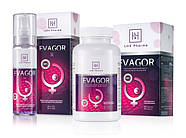 Evagor таблетки 90 шт, для збільшення грудей   | Puls69, фото 5