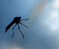Москітна Сітка Євро 1.6х30м. Сітка від Комарів. Сітка на Вікна. Сіра