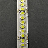 Світлодіодна стрічка ESTAR 3528/240 19,2 Вт 24В 3800-4300К Нейтральний білий IP20 преміум, фото 3