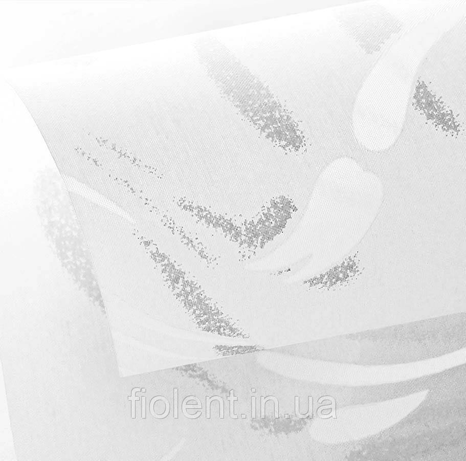 Paloma, фото 1