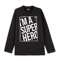 Кофта дитяча з довгим рукавом для хлопчика GABBI FT-20-1-3 Чорний на зріст 116 (12029)