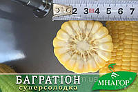 Семена сладкой кукурузы Багратион 1 кг