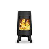 Чавунна піч DOVRE BOLD 300, фото 3