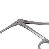 Конхотом, по Weil, з ложкоподібний губками, 19 см, фото 2