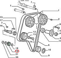 Шестерня масолнасоса внешняя Alfa 155/ 164/ GTV /Fiat Croma /Lancia Thema