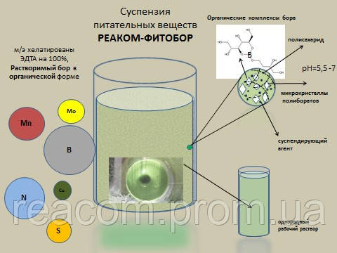 РЕАКОМ - Плюс - ФИТОБОР ( ФІТОБОР ) (подоба WUXAL OILSEED оилсид) МАСЛЯНИЧНЫЕ соняшник соя (10л. відро), фото 2