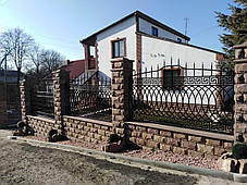 Паркан кований Елеонора, фото 2