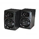 Колонки комп'ютерні FT-108AC 220V, чорні, фото 3