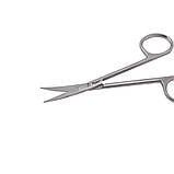 Ножиці очні, загострені, зігнуті, 11,5 cм, фото 2