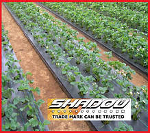Агроволокно чорне пакетоване SHADOW щільністю 60 г/м2 (3,2*5м), фото 6