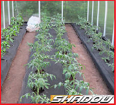 Агроволокно чорне пакетоване SHADOW щільністю 60 г/м2 (1,6*10 м), фото 2