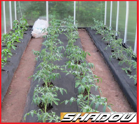 Агроволокно чорне пакетоване SHADOW щільністю 60 г/м2 (3,2*5м), фото 1