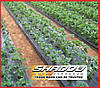 Агроволокно чорне пакетоване SHADOW щільністю 60 г/м2 (3,2*10 м), фото 3