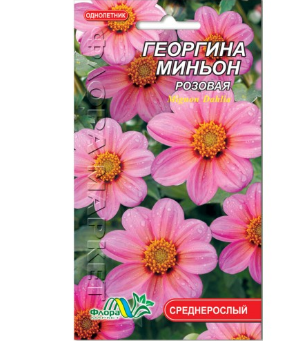 Насіння Жоржина міньйон рожева однорічник середньорослий 0.15 г