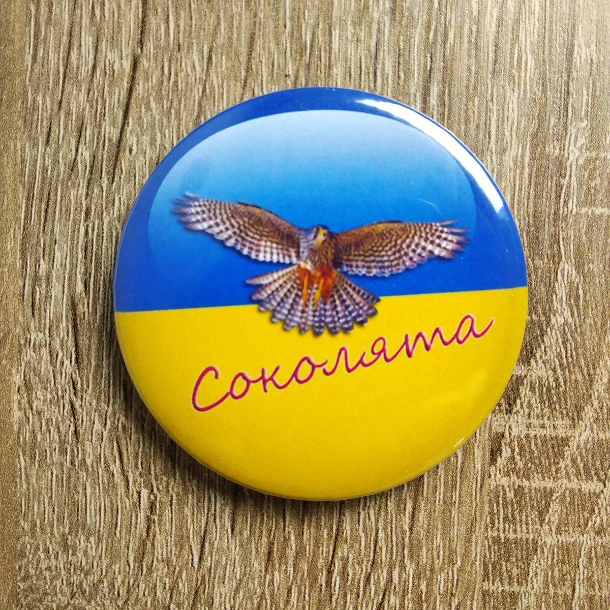 Значок Соколята от Мир стендов - 980367847