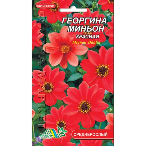 Насіння Жоржина міньйон червона однорічник середньорослий 0.15 г, фото 1