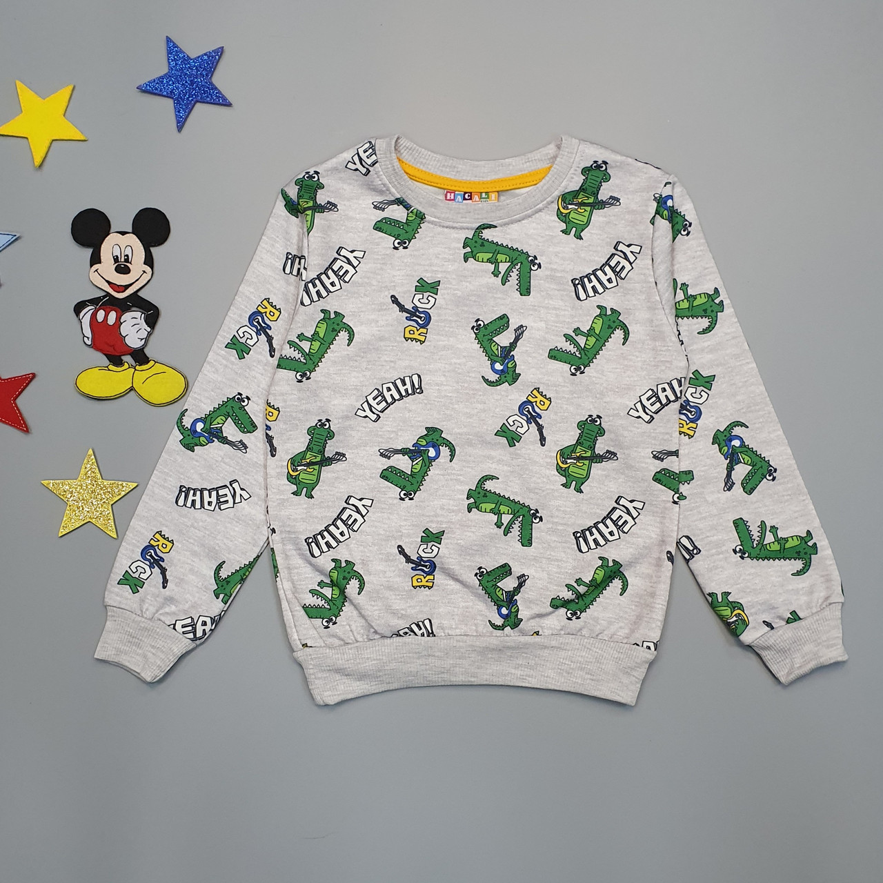 Утеплений світшот для хлопчика. 86-92; 122-128 см, фото 1