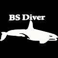 Гидрокостюмы BS DIVER