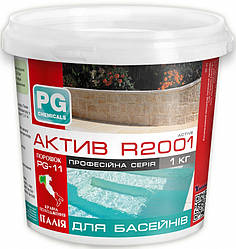 PG-11 ActivR 2001 стабілізатор і активатор хлору 1 кг