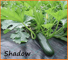 Агротканина чорна SHADOW щільністю 100 г/м2 (3,4*25 м), фото 4