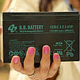 Акумулятор BB Battery HR1234W/T2, фото 2