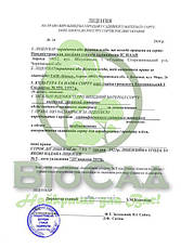 Волоський горіх Буковинський 2 (3-х річний), фото 6