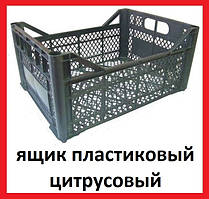 Ящики Пластикові цитрусові