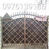 Кованые ворота / Ковані ворота (243), фото 10