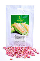 Сахарная кукуруза Гермиона F1, 200 семян на 30 м², 71-73 дней, раннеспелый