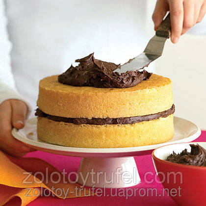 Суміш для випічки бісквіта ванільна "Biscuit Joy" 100 г.