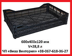 Ящик пластиковий цитрусовий 600х400х120 мм, V = 28,8 л