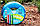 Шланг поливальний Presto-PS силікон садовий Caramel (синій) діаметр 3/4 дюйма, довжина 20 м (CAR B-3/4 20), фото 2