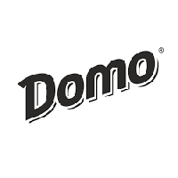 Засоби для укладання волосся DOMO Style